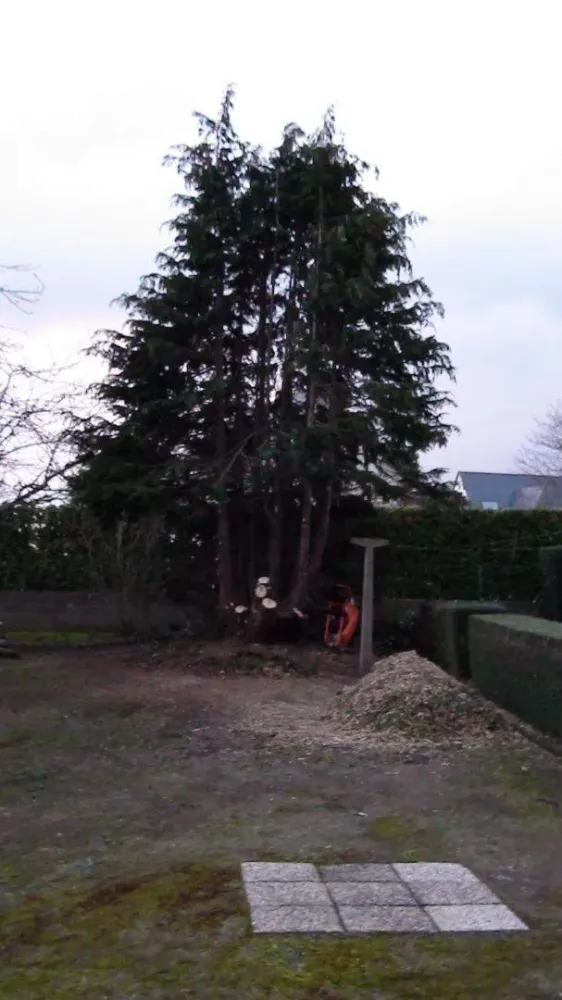 Élagage abattage à Pordic